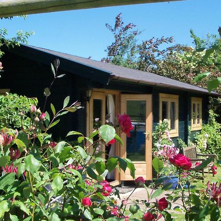 Pet Friendly - Hikers Paradise - South Facing 웰스 외부 사진